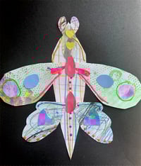 Image 3 of Fantastic Insects Creative Workshop