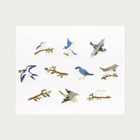 Image 5 of Washi tape oiseaux 
