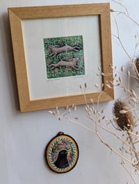 Image 3 of Spring Hares