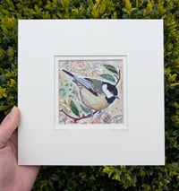 Image 1 of Coal Tit