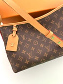 Image 3 of Carry Bag