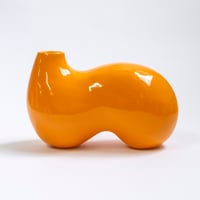 Image 1 of slug in apricot