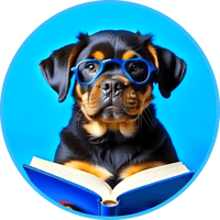 Image 16 of 🖤☕ 3D Printed Coasters with Holder – 3D UV Color Print Designs