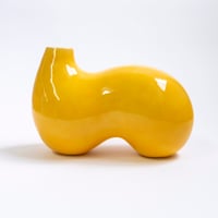 Image 1 of slug in yellow