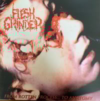 Image 2 of Lymphatic Phlegm / Flesh Grinder - Split 12''
