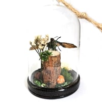 Image 2 of Fulminans Jewel Beetle Mini Woodland Hanging Dome