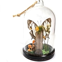 Image 2 of African Map Butterfly Mini Woodland Hanging Dome