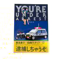 Image 1 of You're Under Arrest File-X Art Book 