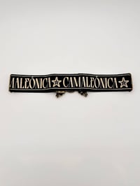 Image 5 of CINTURÓN VELLAN CAMALEÓNICA 