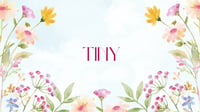 {Tiny}