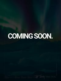 Jeff Tweedy, Twilight Override, PNW poster