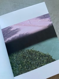 Image 4 of 01 IRENE FENARA