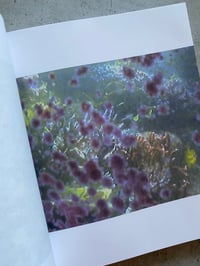 Image 6 of 01 IRENE FENARA