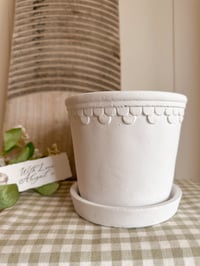 Image 1 of The Scallop Pot