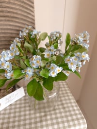 Image 1 of Pale Blue Forget-Me-Not Posy ( 6 Sprays )