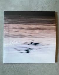 Image 1 of MILLESUONI