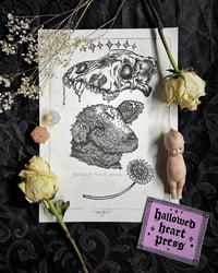 Image 1 of holy ghost - original lamb print