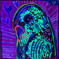 Image 2 of “Parakeet”