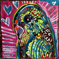 Image 1 of “Parakeet”