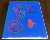 Image 4 of CLYDE Ex Vandals painted canvas