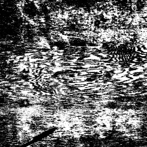 Image of #129 Robert Eggplant | Penstemon | C54