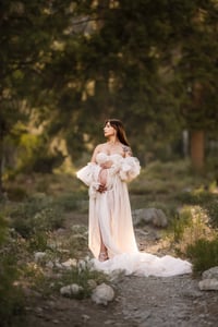 Image 4 of Summer Mountain Minis '26