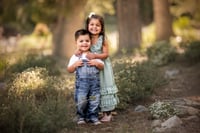 Image 1 of Summer Mountain Minis '26