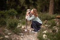 Image 2 of Summer Mountain Minis '26