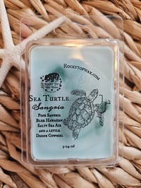 Image 7 of Sea Turtle Sangia-A Rocky Top Wax Works exclusive custom houseblend fragrance 