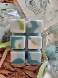 Image 3 of Sea Turtle Sangia-A Rocky Top Wax Works exclusive custom houseblend fragrance 