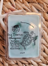 Image 16 of Sea Turtle Sangia-A Rocky Top Wax Works exclusive custom houseblend fragrance 