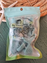 Image 4 of Sea Turtle Sangia-A Rocky Top Wax Works exclusive custom houseblend fragrance 