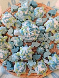 Image 8 of Sea Turtle Sangia-A Rocky Top Wax Works exclusive custom houseblend fragrance 