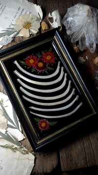 Image 4 of Rib Bone and Floral Wall Frame
