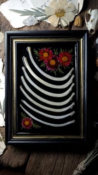 Image 3 of Rib Bone and Floral Wall Frame