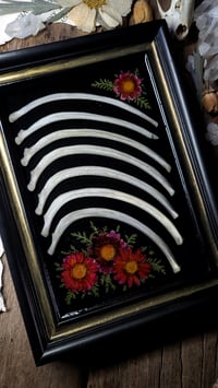 Image 5 of Rib Bone and Floral Wall Frame