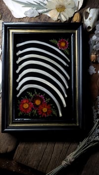 Image 1 of Rib Bone and Floral Wall Frame