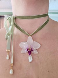 Pearly Dreams