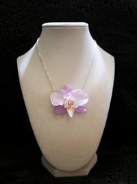 Image 1 of Pastel Prism
