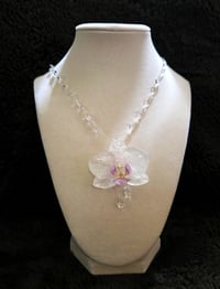 Image 1 of Cloudberry Blossom