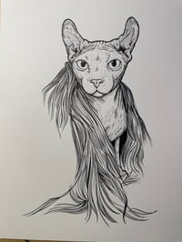 Image 2 of Tiberius Illustration Original Art (400$ Donation) 