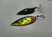 Image 1 of Candy Tiger 15g Horse Mouth