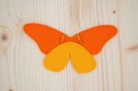 Image 2 of Orange and Yellow Butterfly Wings
