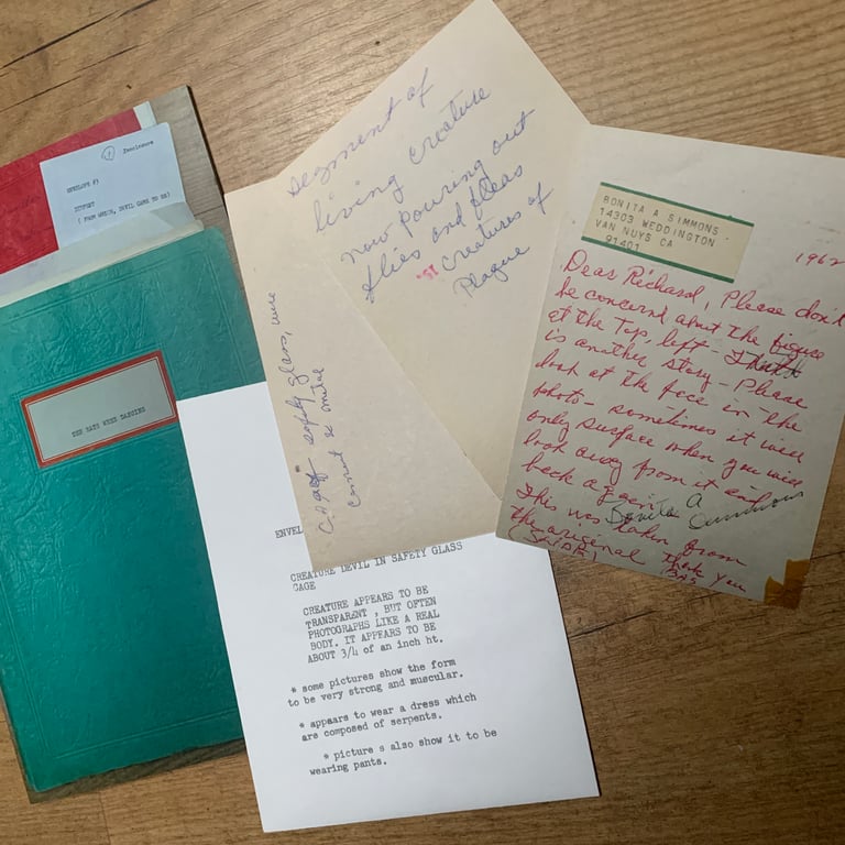 The Rats Were Dancing -zine- vol.1 WITH PHOTO REPRODUCTIONS and ENVELOPE Image 3