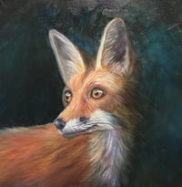 At the Edge of Cover