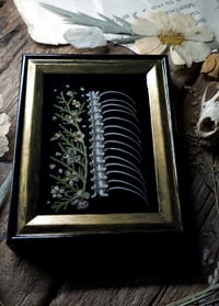 Image 4 of Ribcage and Floral Mini Wall Frame