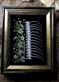 Image 2 of Ribcage and Floral Mini Wall Frame