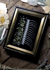 Image 3 of Ribcage and Floral Mini Wall Frame