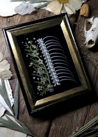 Image 5 of Ribcage and Floral Mini Wall Frame