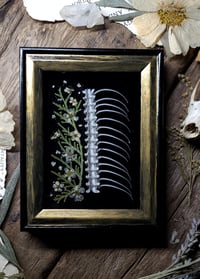 Image 1 of Ribcage and Floral Mini Wall Frame